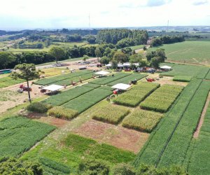  Coasul realiza Semana do Conhecimento em São João