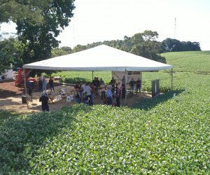  Coasul realiza Semana do Conhecimento em São João