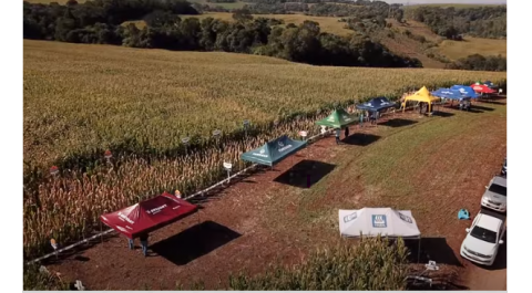 Coasul realiza seu 1º Dia de Campo Virtual