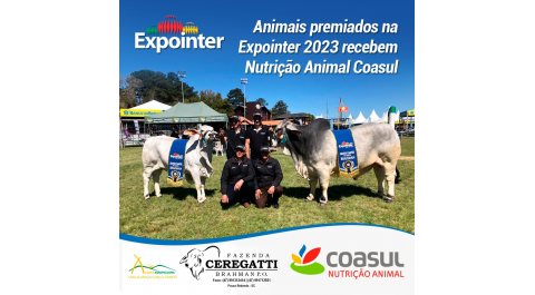 Animais premiados na Expointer 2023 recebem Nutrição Animal Coasul